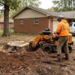 5 Best Stump Grinding Services in Evansville - Discover level yards free of old stumps