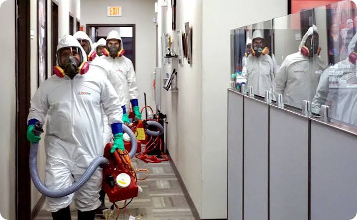 5 Best Mold Remediation Specialists in Cedar Rapids - Discover thorough mold removal after leaks or flooding